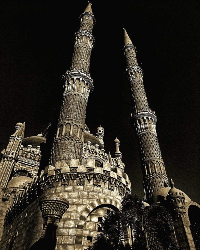 Photograph by Mohamed Ziada