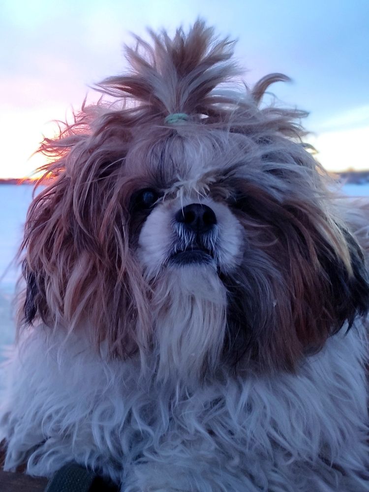 Photograph by Юлия Гинтер