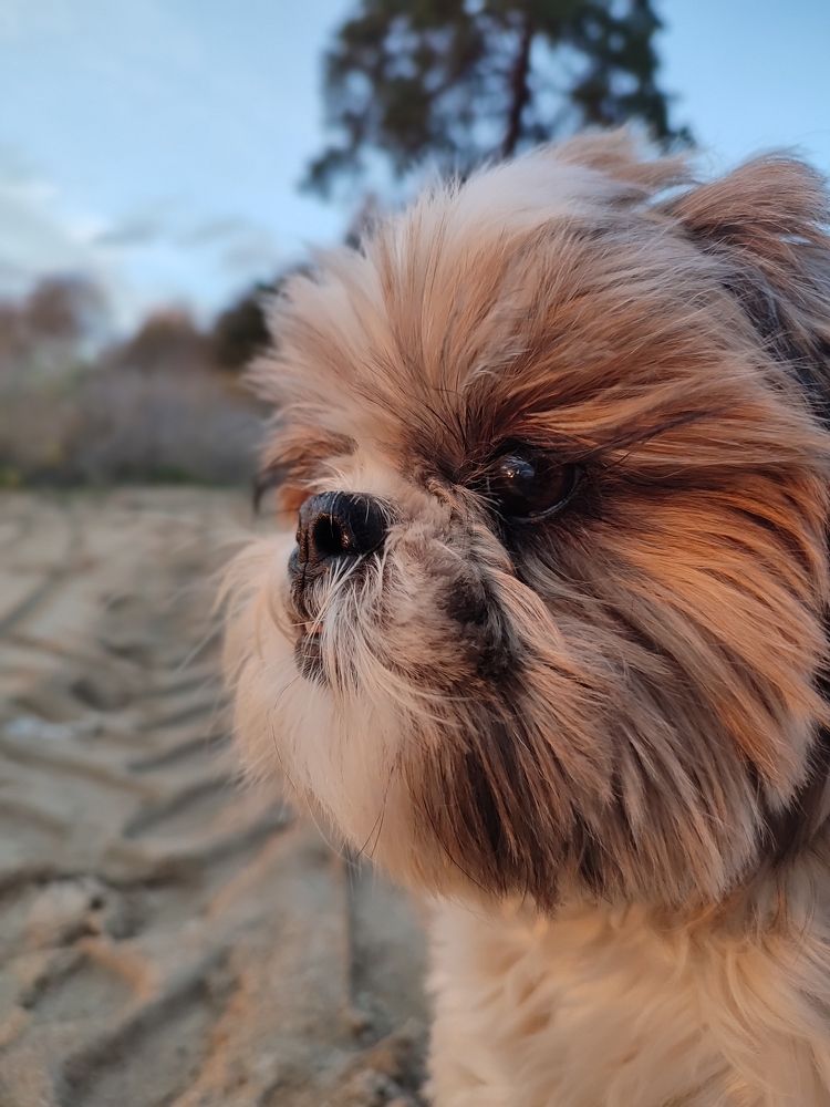 Photograph by Юлия Гинтер