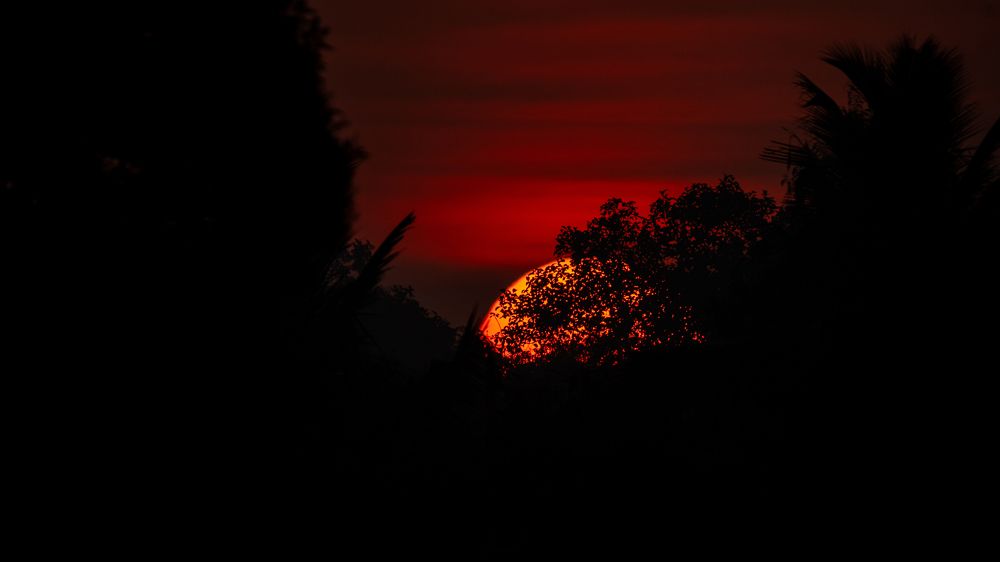 Photograph by Faisal Fasaludeen