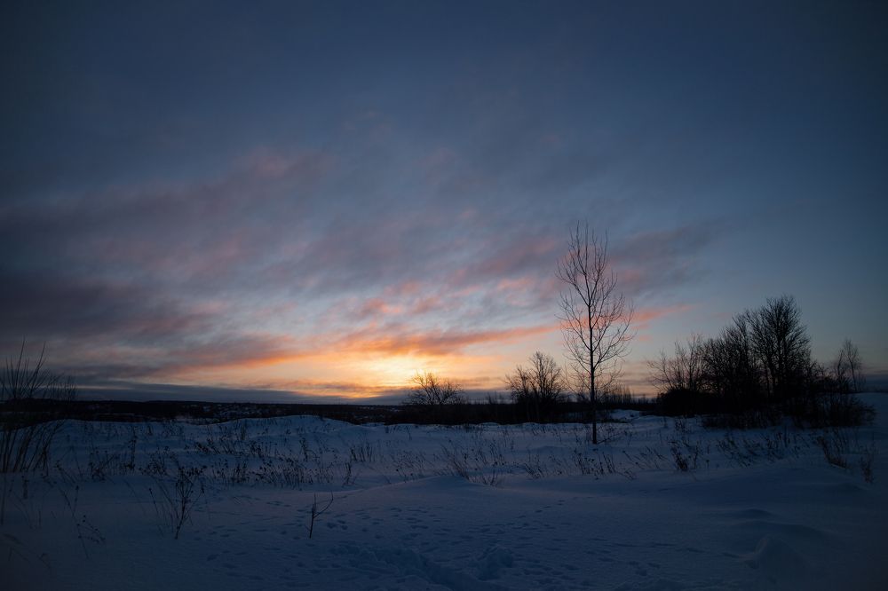 Photograph by Мария Грибкова