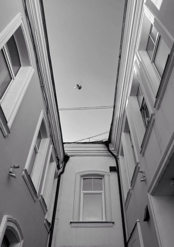 Photograph by Кристина Чащина