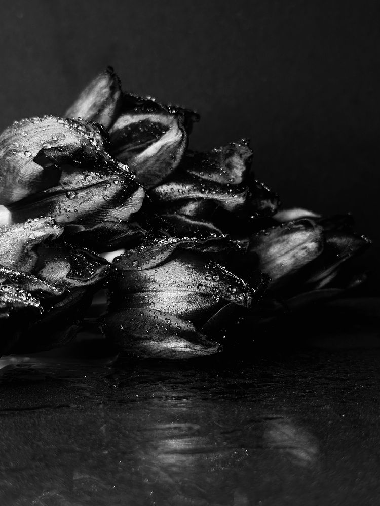 Фотография автора Anna Tikka