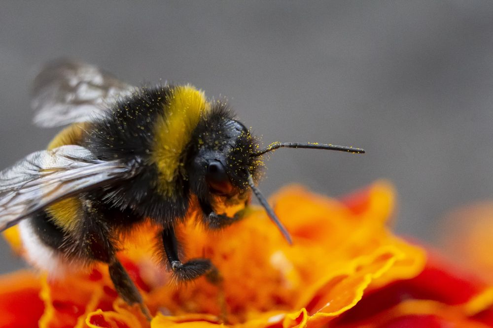 Photograph by Ирина Шибитова