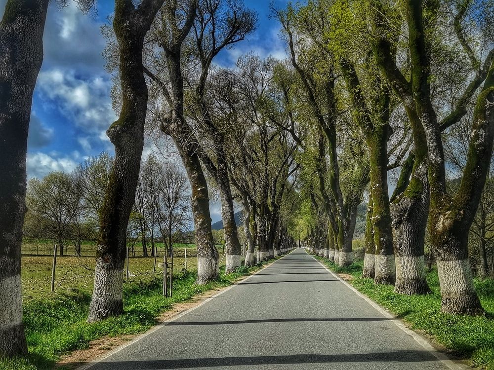 Photograph by Félix Sánchez Serrano