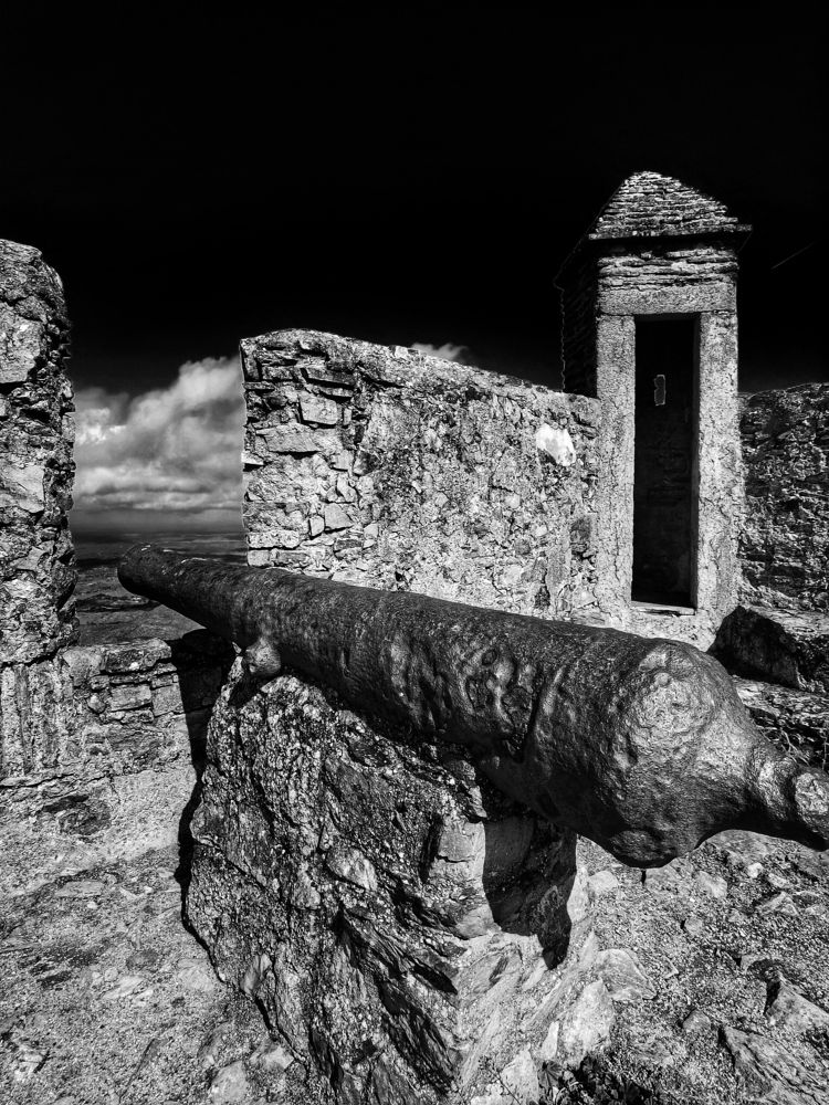 Photograph by Félix Sánchez Serrano