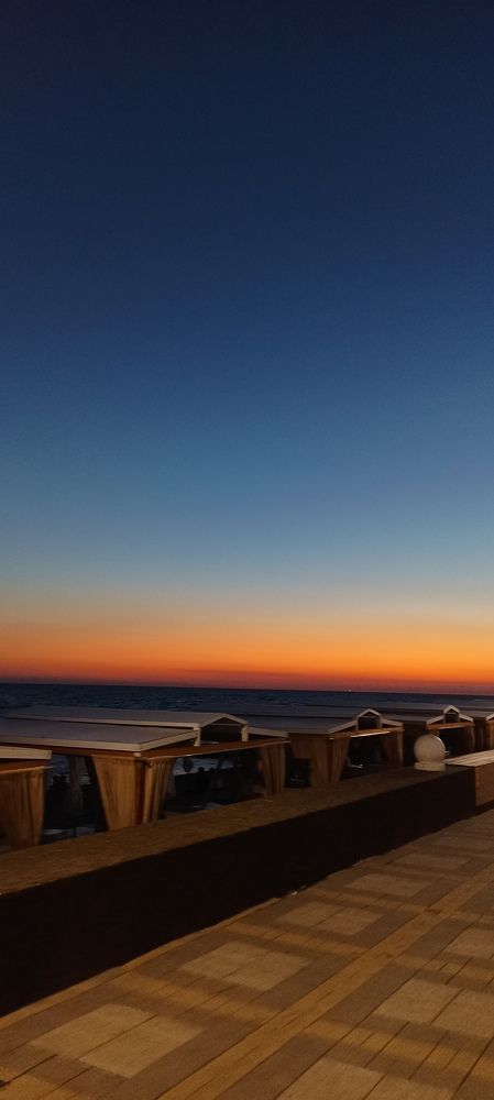 Photo #10459751