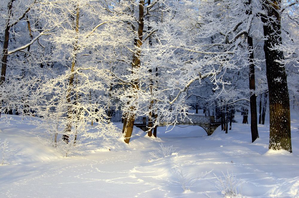 Photograph by Михаил Вечерский