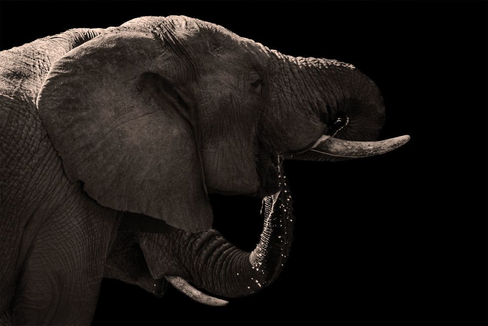 Photograph by Tanja Wolfaardt