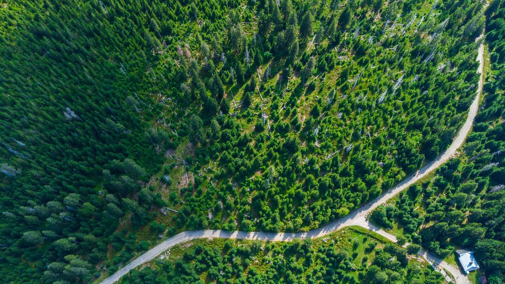 Photograph by Artem Stoliar