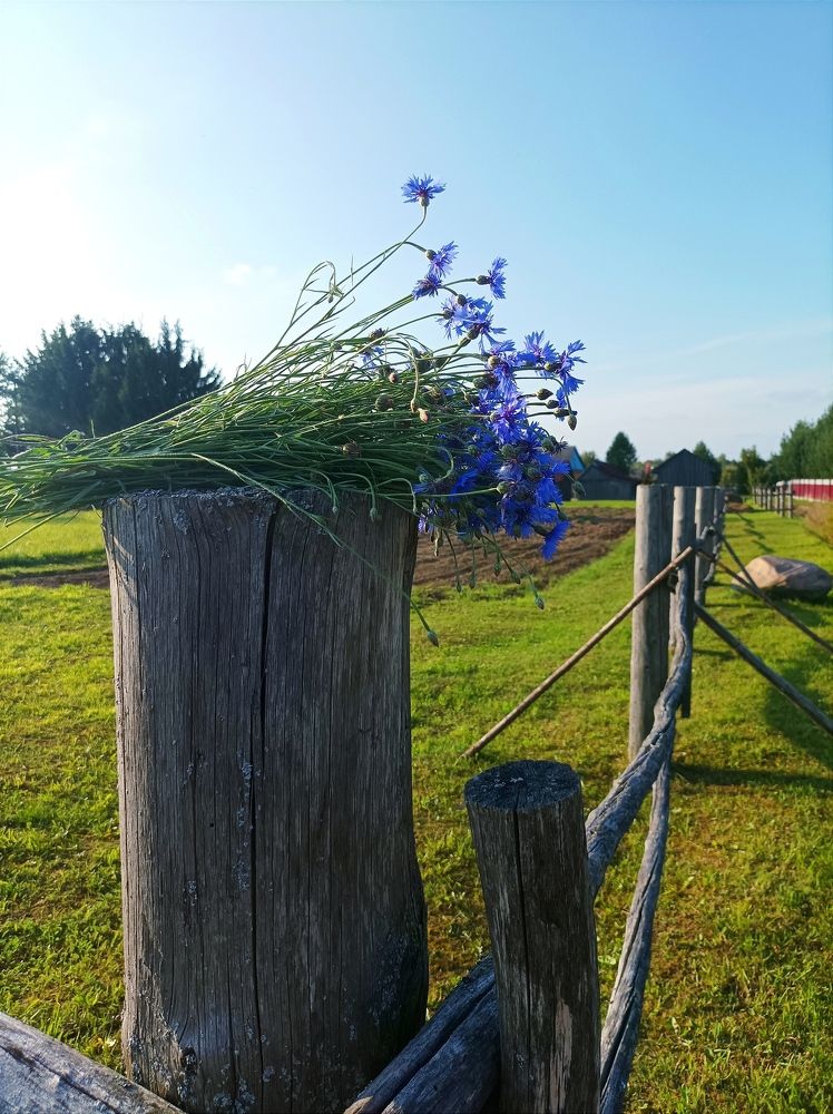 Photograph by Марина