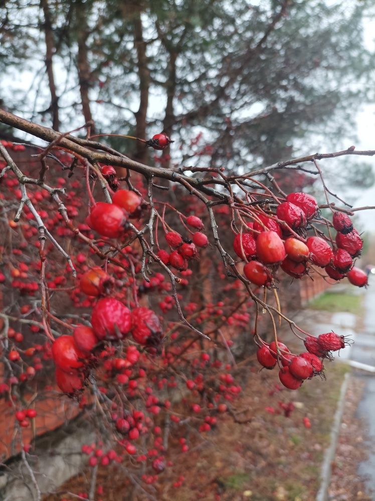 Photograph by Марина