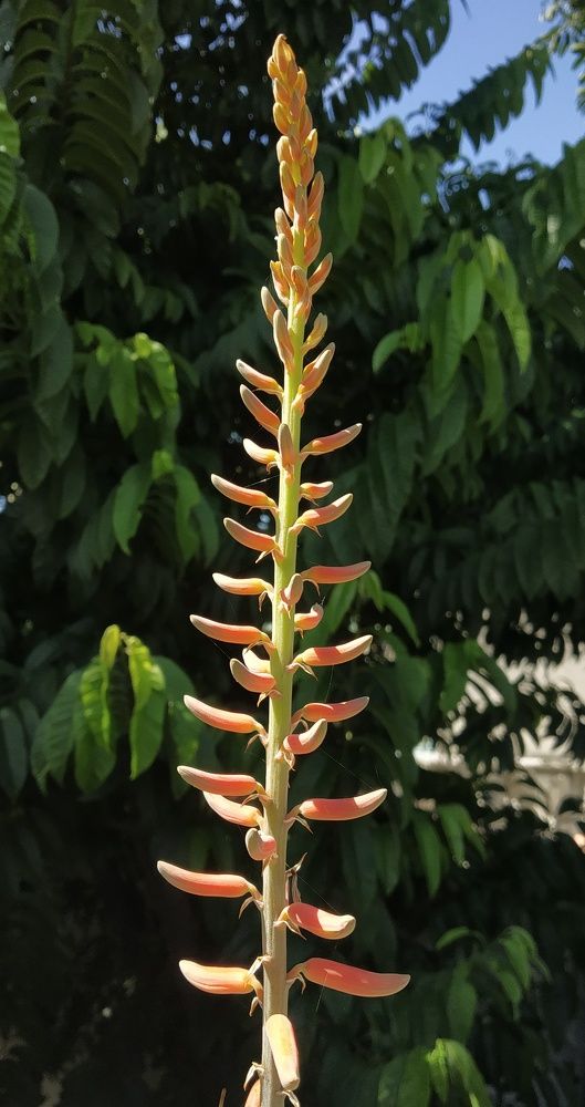 Photograph by Tushar n Kamble