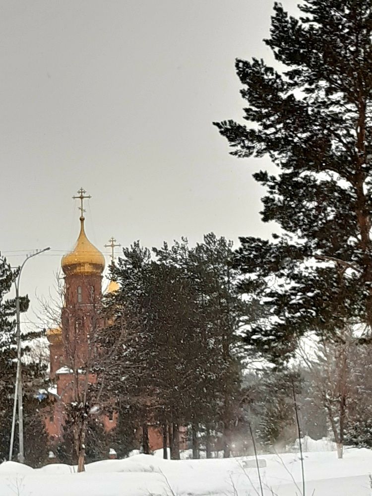 Фотография автора Наталья Шендяпина