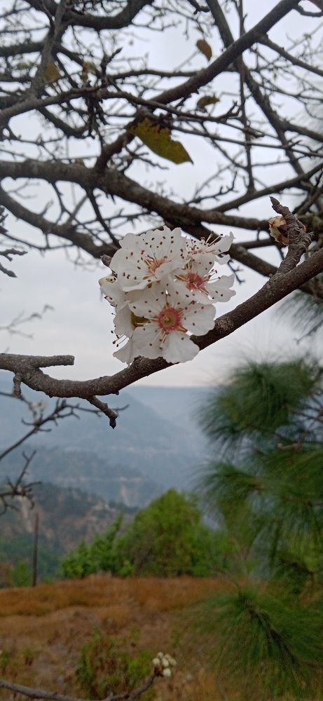 Photo #10460129