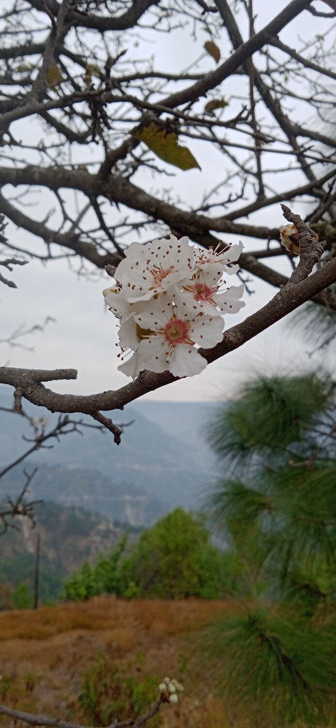 Photo #10460129