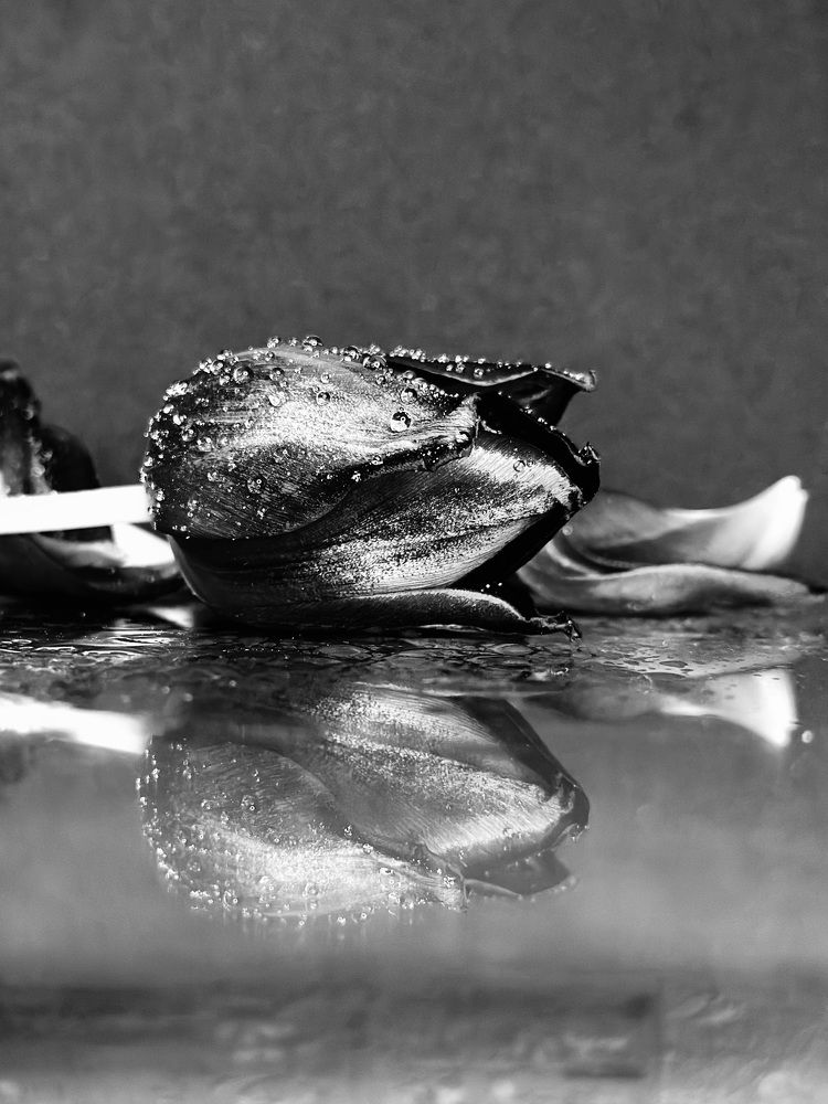 Фотография автора Anna Tikka