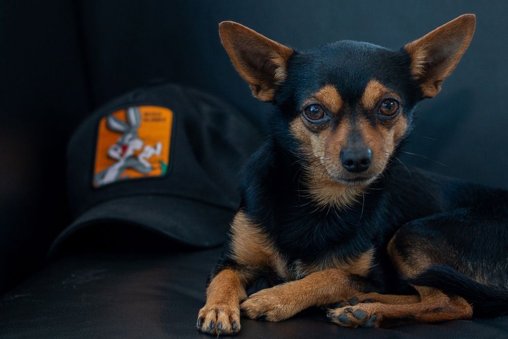 Photograph by Маргарита Гарнец