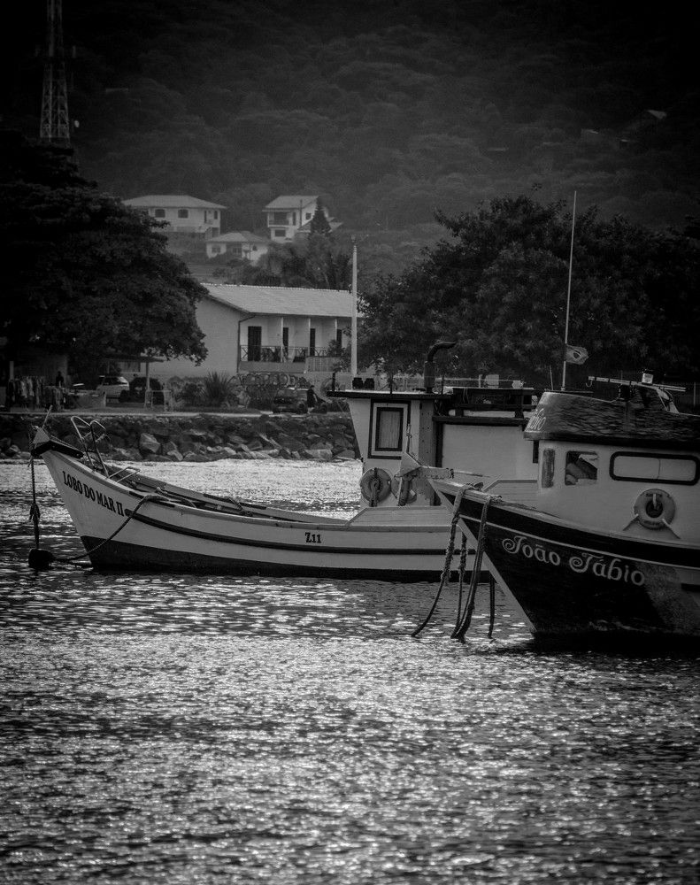 Late afternoon in summer