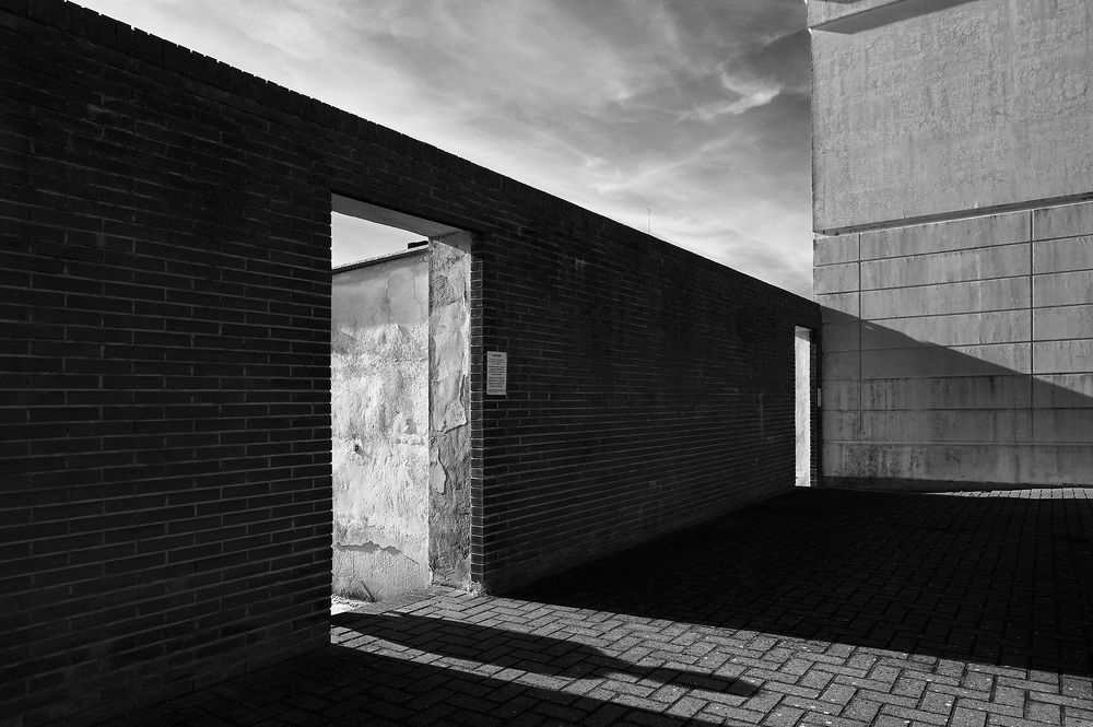 Фотография автора bonuccelli francesco