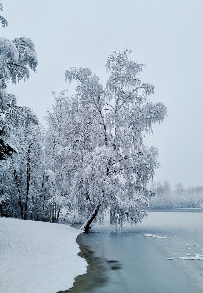 Photograph by Алиса