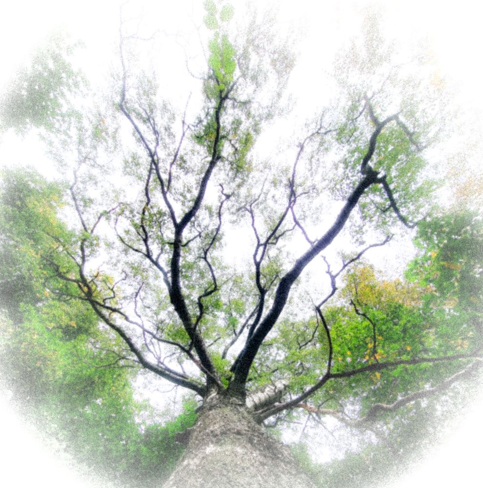 Photograph by Алиса