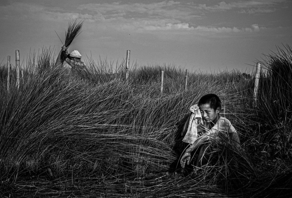 Photograph by DjoleNomad