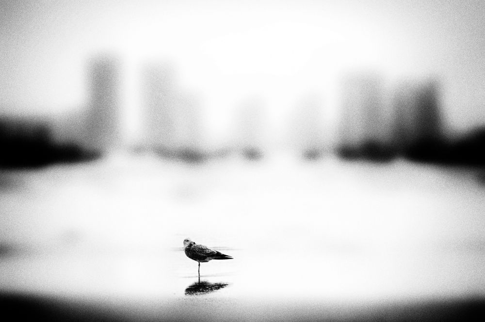 Photograph by Hà Thạnh