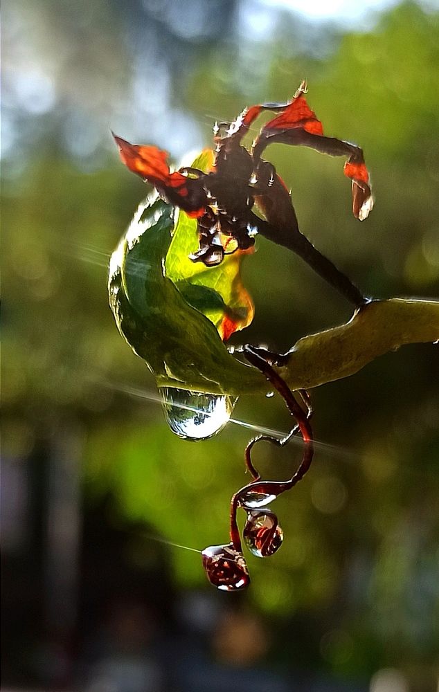 Photograph by Ольга Тихонова