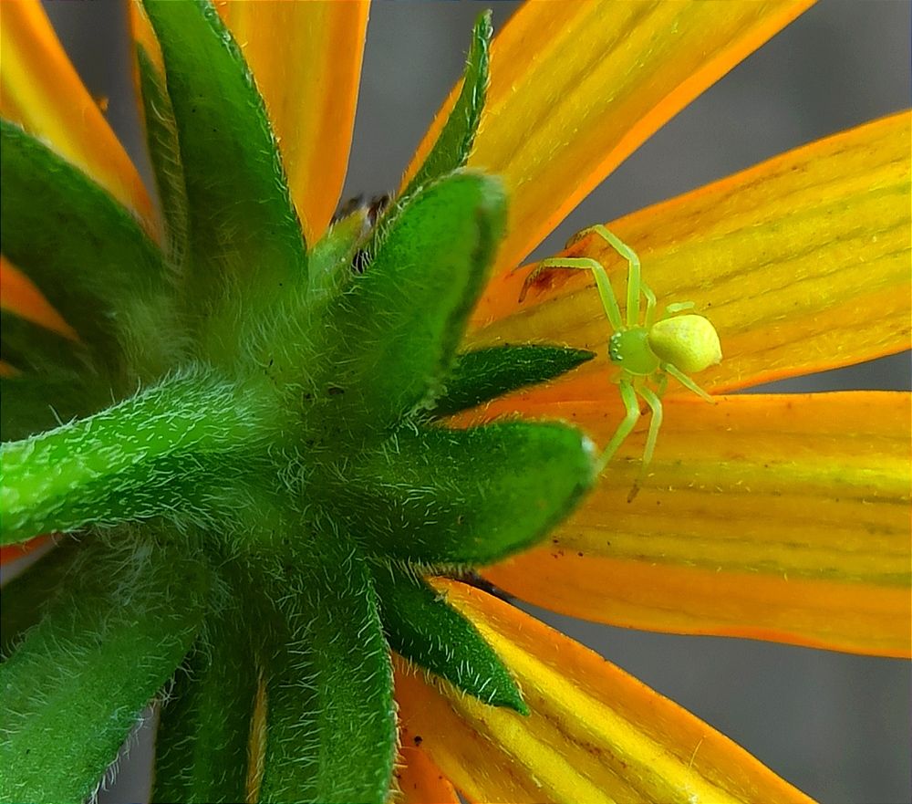 Photograph by Ольга Тихонова