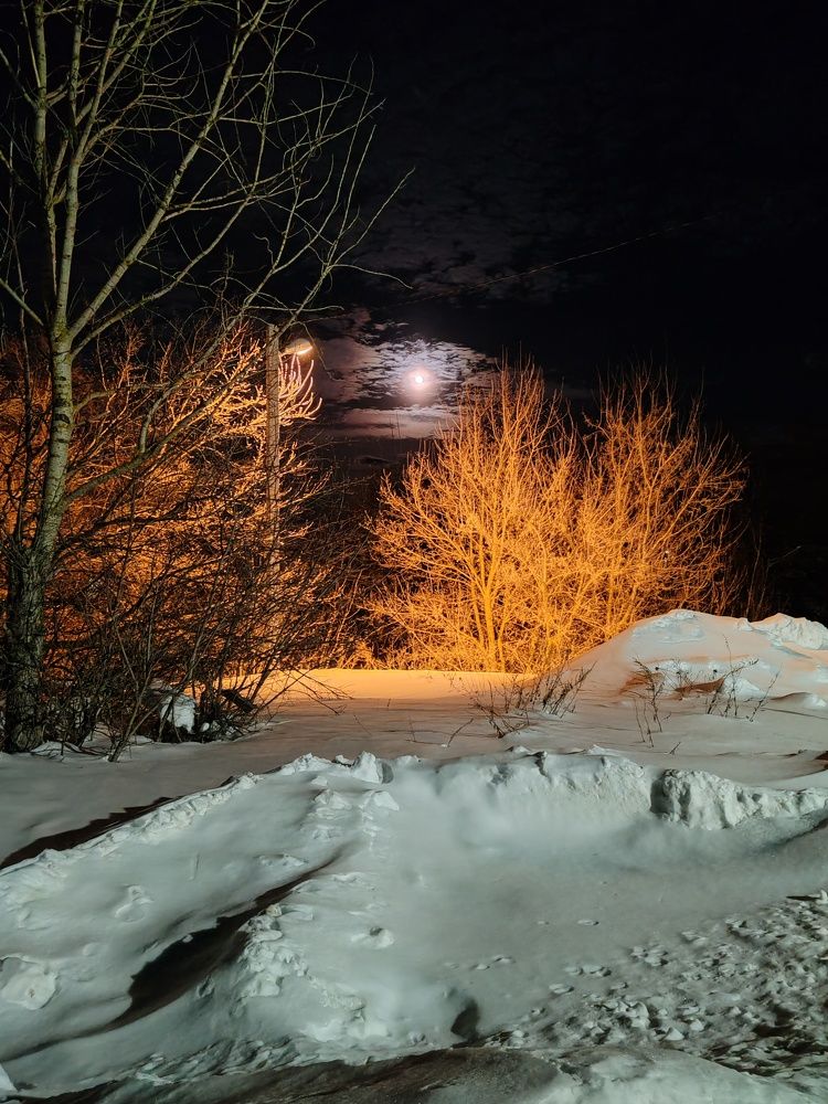 Photograph by Алексей Ивашкин