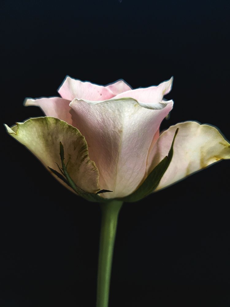 Photograph by Луиза Перегарова