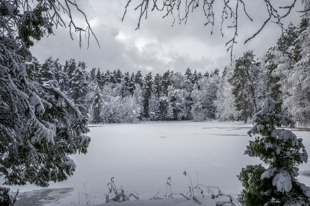 Photograph by Александр Журавлев