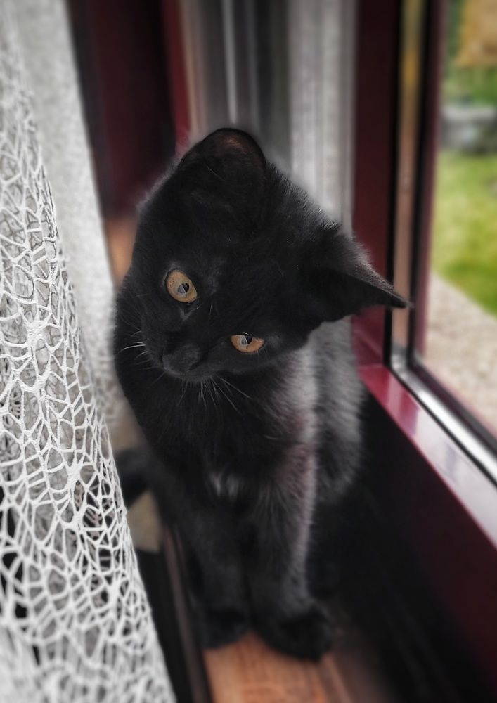 Photograph by Луиза Перегарова