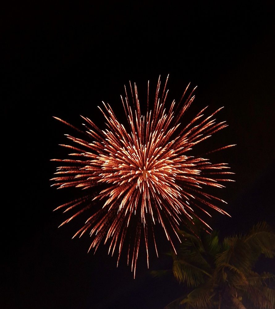 Photo #10460454