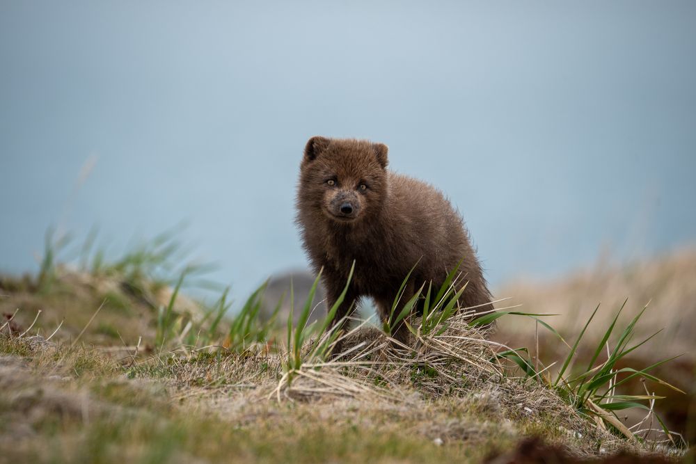 Photograph by Светлана Головачева