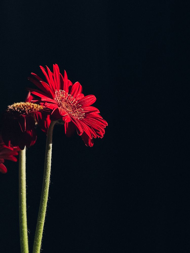 Photograph by Юстина Безух