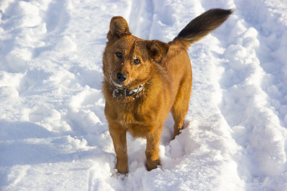 Photograph by Анна-Лаймуте Милошевич