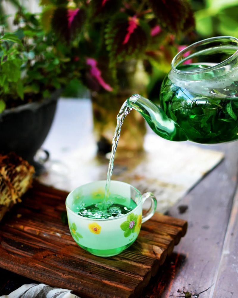 Photograph by Safoora bakhti