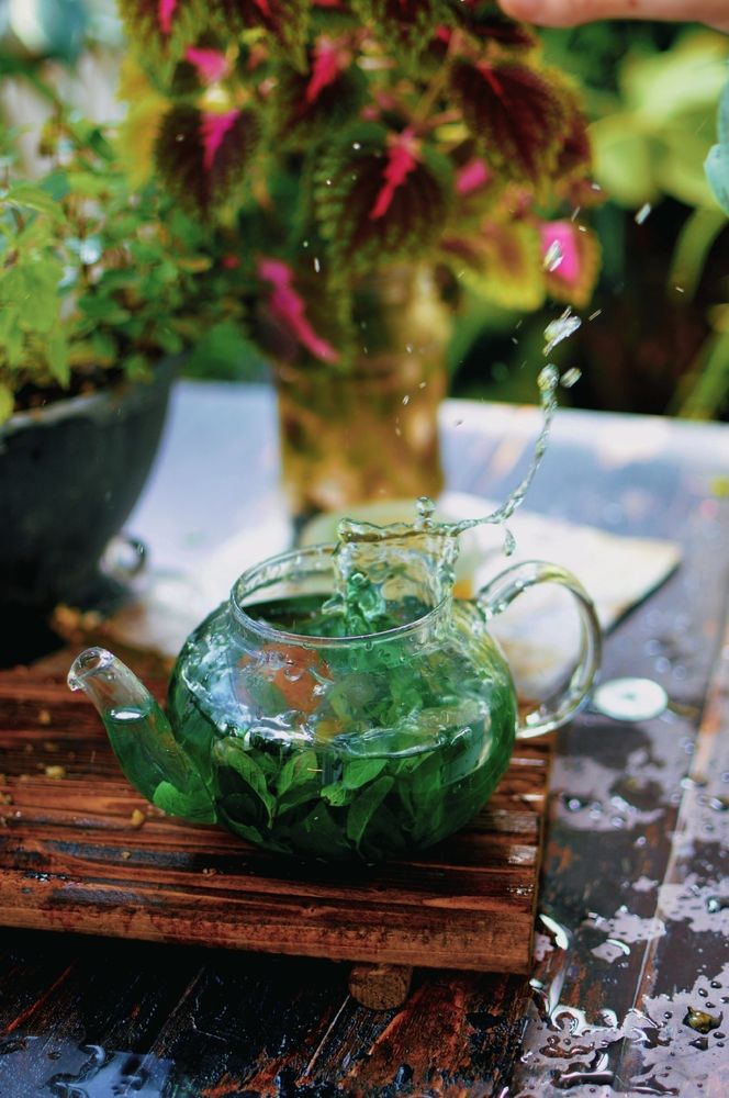 Photograph by Safoora bakhti