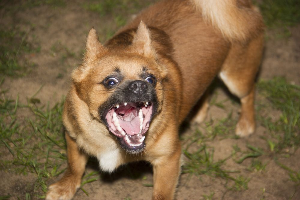 Photograph by Анна-Лаймуте Милошевич