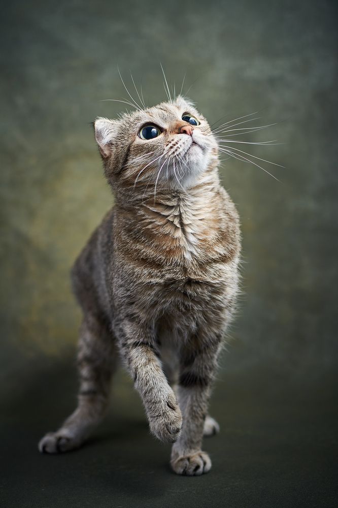 Photograph by Мария Шабурникова