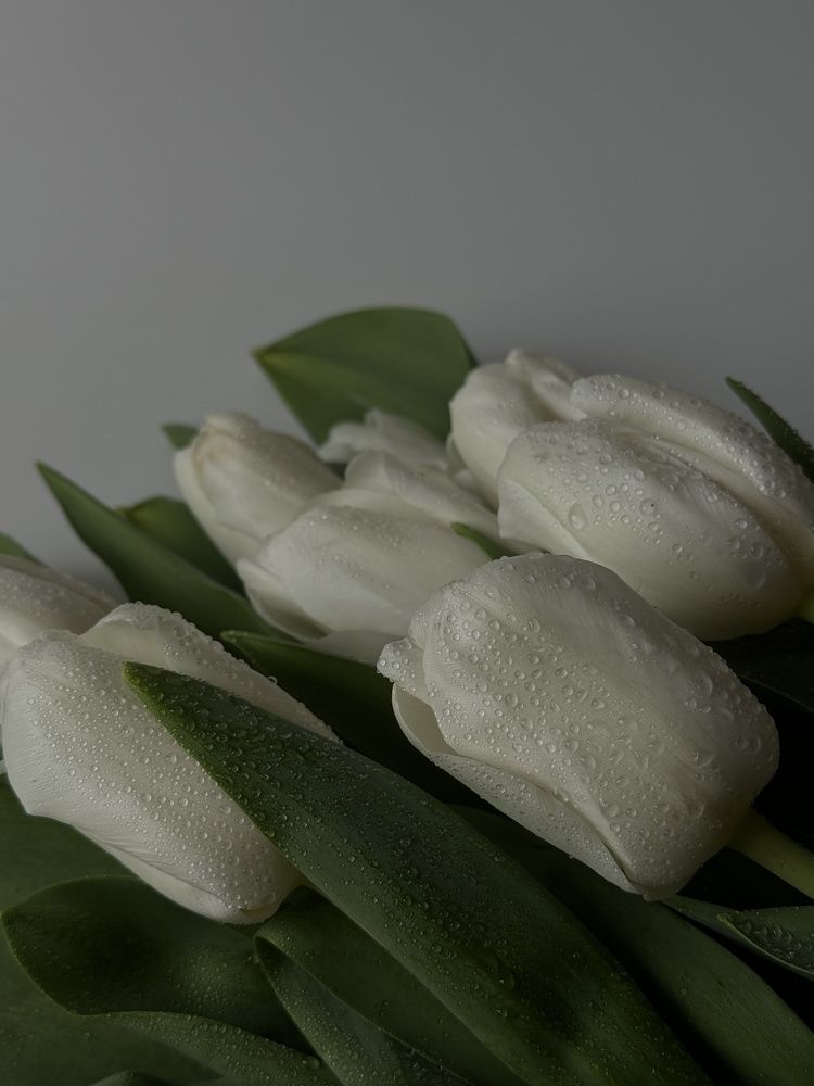 Photograph by Алеся Кутишко