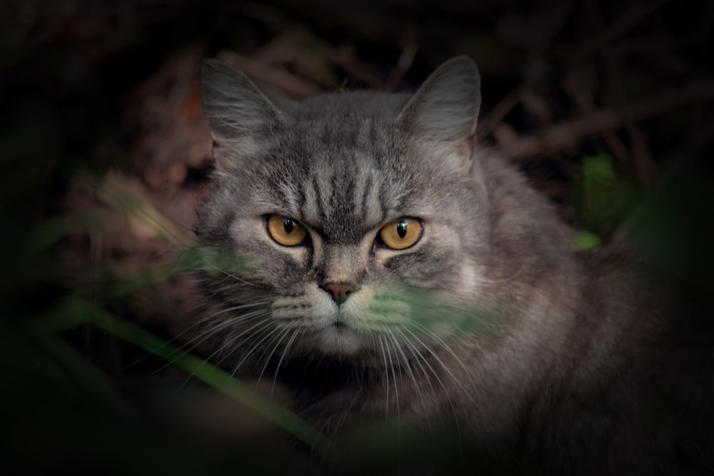 Photograph by Сергей Немчинов