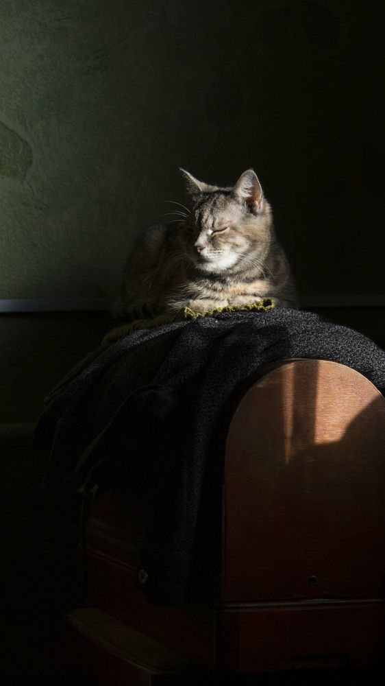 Зимнее солнце