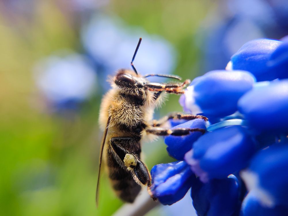 Photograph by Никита Боков
