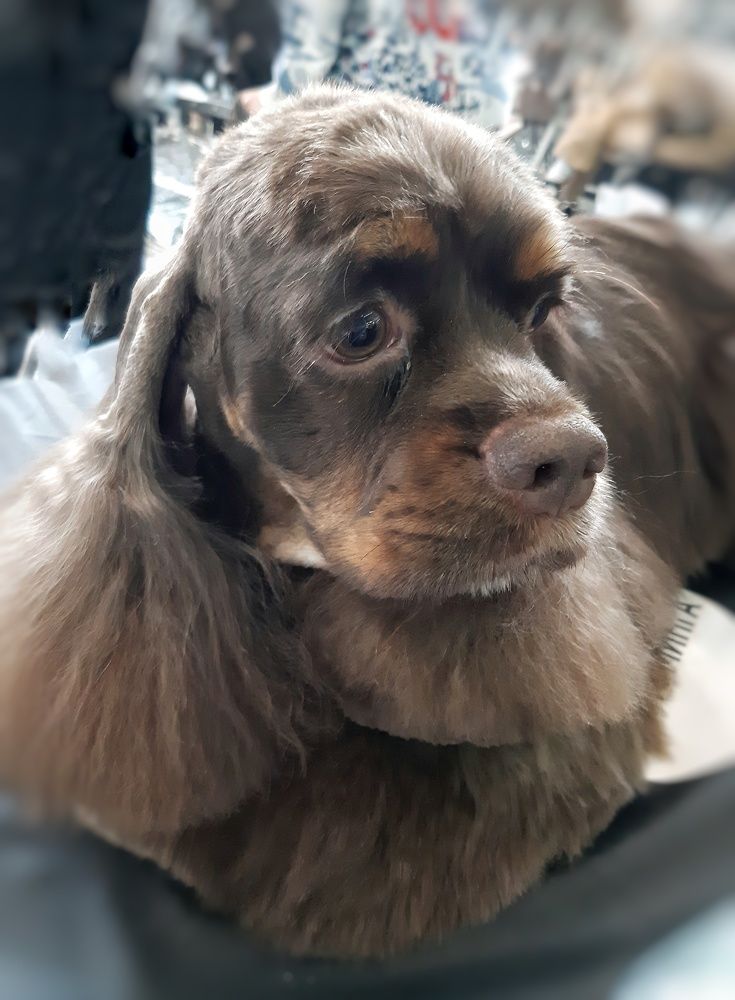 Photograph by Бакшеева Марина