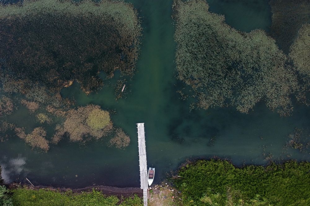 Photograph by Алексей Оборин