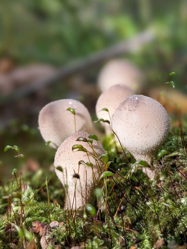 Photograph by Екатерина Чижевская