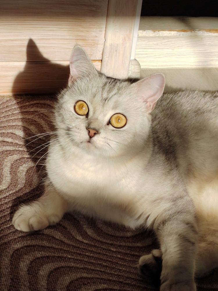 Photograph by Ирина Дружинина